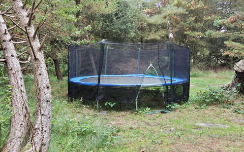 Lenia - 1Km from the Sea: 