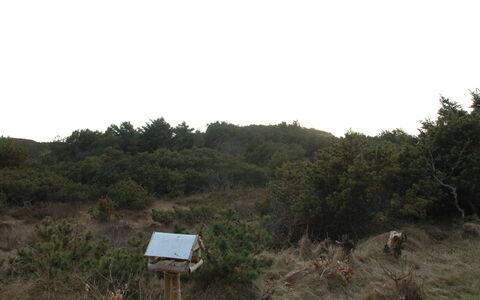 Annita - 300M from the Sea: Toit, Maison, Domicile, Chalet, Siding, Biens, Allée, Batiments Jardin, Cour, Cabanon