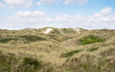 Thrond - 200M from the Sea: Maison, Domicile, Toit, Chalet, Arbuste, Siding, Porte, Jardin, Ferme