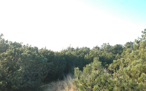 Jon - 400M from the Sea: Toit, Lot Terre, Chalet, Domicile, Zone Rurale, Cabanon, Siding, Batiments Jardin, Cabane En Rondins, Cabane