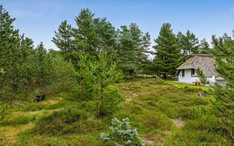 Lilo - 1Km from the Sea: Chalet, Cabanon, Cabane, Ferme, Prairie, Cabane, Grange, Cabane En Rondins, Batiments Jardin