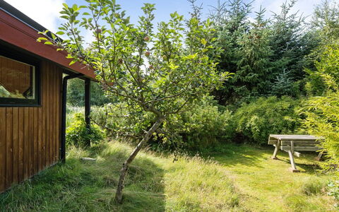 Sune - 500M from the Sea: Toit, Maison, Domicile, Chalet, Siding, Biens, Allée, Batiments Jardin, Cour, Cabanon