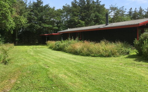 Stillfriede - 400M from the Sea: Herbe, Maison, Toit, Domicile, Chalet, Arbuste, Lot Terre, Zone Rurale, Ferme, Couverture De Sol