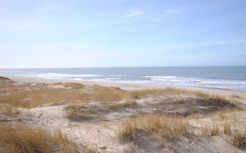Elfrun - 250M from the Sea: Maison, Toit, Domicile, Chalet, Cabanon, Batiments Jardin, Siding, Cour, Cabane En Rondins, Cabane