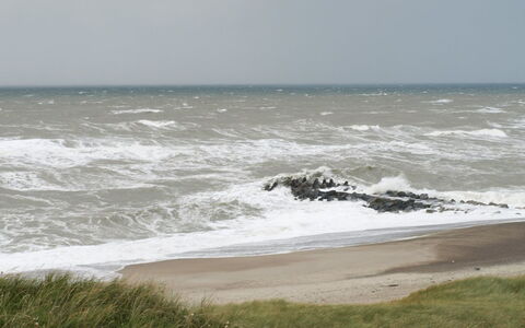 Heming - 100M from the Sea: Toit, Plaine, Lot Terre, Zone Rurale, Domicile, Biens, Champ, Chalet, Pelouse, Banlieue