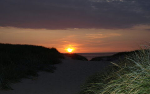 Heming - 100M from the Sea: Toit, Plaine, Lot Terre, Zone Rurale, Domicile, Biens, Champ, Chalet, Pelouse, Banlieue