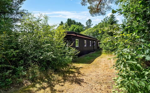 Fot - 7Km from the Sea: Végétation, Arbuste, Paysage, Communauté Des Plantes, Lot Terre, Zone Rurale, Jardin, Chalet, Batiments Jardin