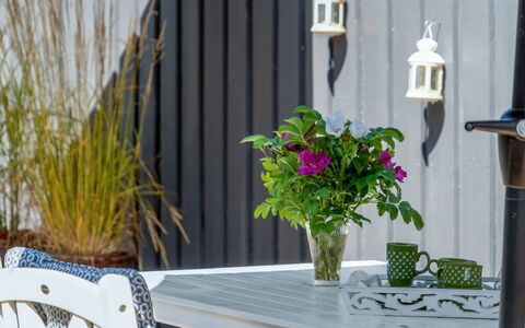 Felizia - 2.5Km from the Sea: Pot De Fleur, Plante D'Appartement, Jardin, Floristique, Vase, Mobilier De Jardin, Chaise, Peindre, Art Floral