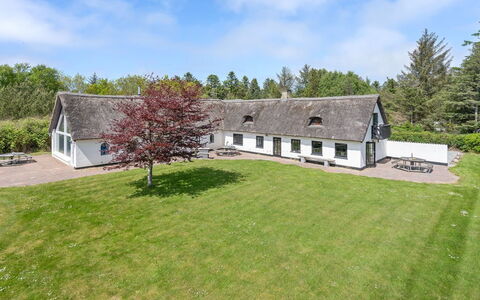 Iben - 2.3Km from the Sea: 