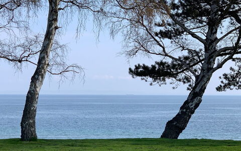 Vanta - 10M from the Sea: Toit, Lot Terre, Chalet, Domicile, Zone Rurale, Cabanon, Siding, Batiments Jardin, Cabane En Rondins, Cabane
