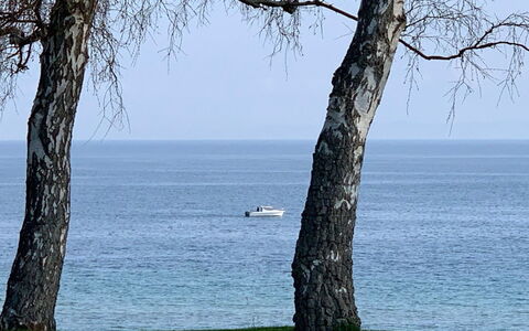 Vanta - 10M from the Sea: Toit, Lot Terre, Chalet, Domicile, Zone Rurale, Cabanon, Siding, Batiments Jardin, Cabane En Rondins, Cabane
