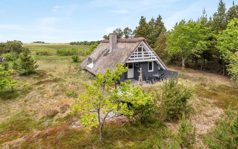Antero - 4Km from the Sea: Herbe, Prairie, Paysage, Écorégion, Plaine, Communauté Des Plantes, Lot Terre, Mobilier De Jardin, Prairie, Formations Arbustives