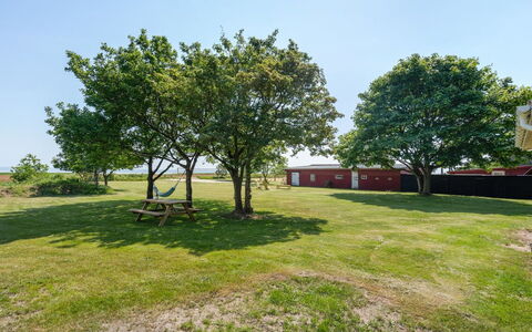 Edelgard - 4.5Km from the Sea: Ciel, Arbre, Herbe, Plaine, Lot Terre, Pelouse, Ombre, Jardin, Prairie, Parc