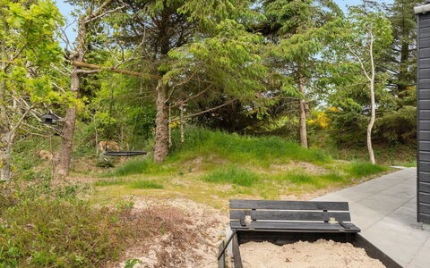 Antonina - 800M from the Sea: Bois, Végétation, Arbuste, Communauté Des Plantes, Lot Terre, Couverture De Sol, Forêt, Jardin, Piste