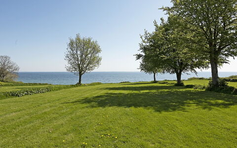 Helena - 250M from the Sea: Bleu, Vert, Herbe, Prairie, Paysage Naturel, Horizon, Écorégion, Paysage, Plaine, Lot Terre