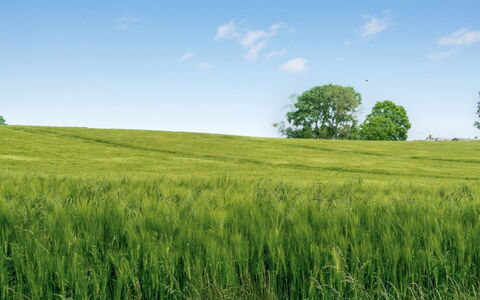 Thorwer - 250M from the Sea: Herbe, Maison, Toit, Chalet, Domicile, Arbuste, Ferme, Lot Terre, Zone Rurale