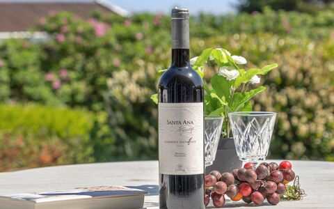 Jarmericus - 300M from the Sea: Bouteille, Bouteille De Vin, Bouteille En Verre, Du Vin, Vin Rouge, Bar