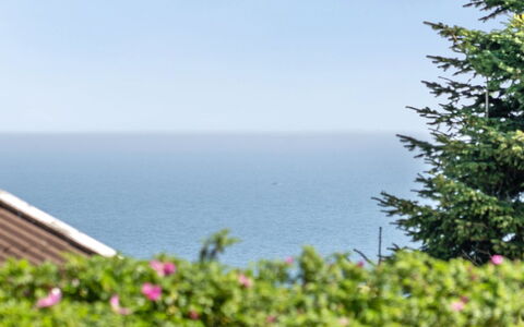 Jarmericus - 300M from the Sea: Herbe, Maison, Toit, Chalet, Domicile, Arbuste, Ferme, Lot Terre, Zone Rurale