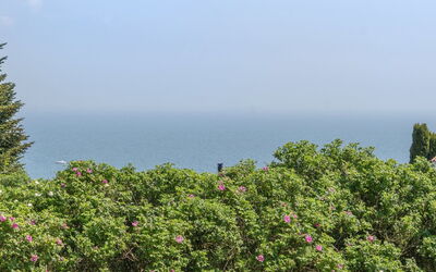 Jarmericus - 300M from the Sea