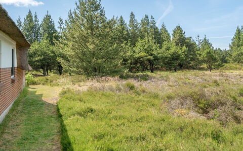 Hakun - 4Km from the Sea: Arbre, Herbe, Végétation, Arbuste, Prairie, Lot Terre, Communauté Des Plantes, Plaine, Couverture De Sol