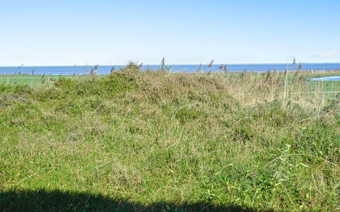 Asfrid - 3.5Km from the Sea: Bleu, Ciel, Vert, Herbe, Prairie, Végétation, Été, Écorégion, Communauté Des Plantes, Lot Terre