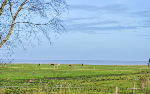 Asfrid - 3.5Km from the Sea: Bleu, Herbe, Vert, Prairie, Paysage Naturel, Plaine, Pâturage, Été, Écorégion, Champ