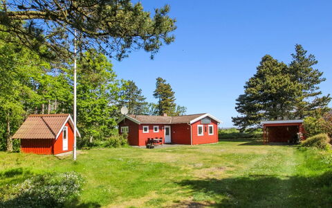 Asfrid - 3.5Km from the Sea: Communauté Des Plantes, Lumière Du Soleil, Plante Herbacée, Jardin, Plantation, Agriculture, Ferme