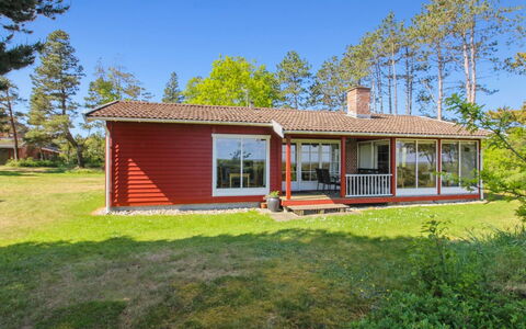 Asfrid - 3.5Km from the Sea: Communauté Des Plantes, Lumière Du Soleil, Plante Herbacée, Jardin, Plantation, Agriculture, Ferme