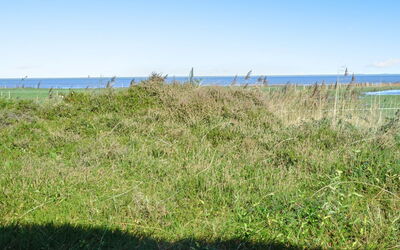 Asfrid - 3.5Km from the Sea