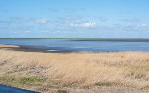Deljan - 3.5Km from the Sea: Arbuste, Design Urbain, Couverture De Sol, Brique, Appartement, Biens, Brickwork, Balcon, Aménagement Paysager
