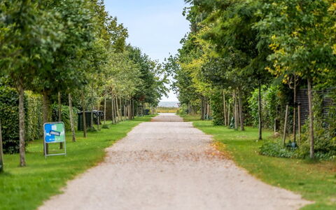 Rohan - 500M from the Sea: Vert, Feuille, La Nature, Branche, Végétation, Arbuste, Jardin, Printemps, Rue, Tronc