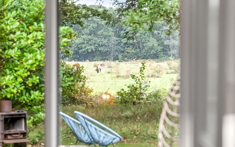 Rohan - 500M from the Sea: Herbe, Vert, Feuille, Végétation, Arbuste, Jardin, Mobilier De Jardin, Meubles, Lot Terre