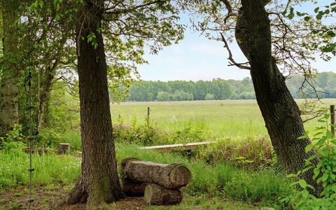 Rohan - 500M from the Sea: Herbe, Vert, Arbre, Environnement Naturel, Feuille, Bois, Paysage Naturel, Végétation, Prairie, Communauté Des Plantes