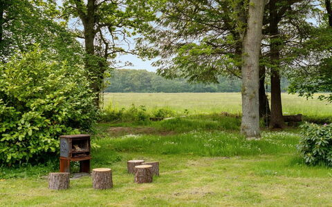 Rohan - 500M from the Sea: Herbe, Arbre, Environnement Naturel, Vert, La Nature, Bois, Paysage Naturel, Prairie, Végétation