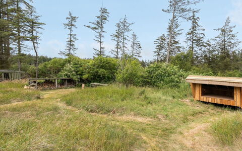 Jorek - 1.3Km from the Sea: Herbe, Environnement Naturel, Communauté Des Plantes, Prairie, Lot Terre, Écorégion, Zone Rurale, Forêt