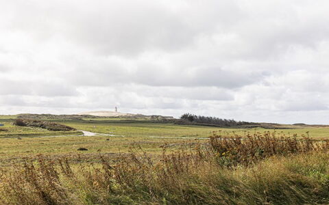 Volfgang - 250M from the Sea: Rouge, Vaisselle, Serveware, Drinkware, Vaisselle, Aliments
