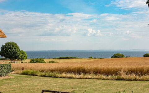Edithe - 250M from the Sea: Ciel, Bleu, Vert, Herbe, Paysage Naturel, Prairie, Horizon, Plaine, Écorégion