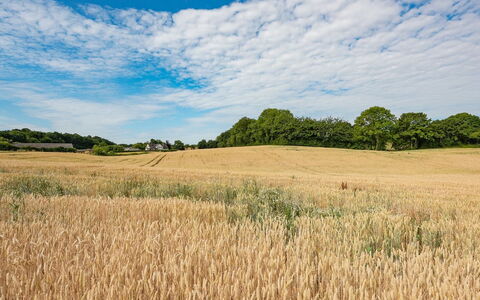 Edithe - 250M from the Sea: Bleu, Jour, Champ, Agriculture, Nuage, Prairie, Paysage Naturel, Plaine, Écorégion, Été