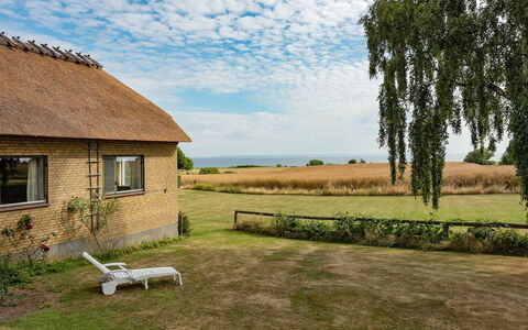 Edithe - 250M from the Sea: Blanc, Carte, Conception