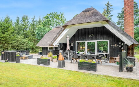 Arttu - 2.4Km from the Sea: Communauté Des Plantes, Lumière Du Soleil, Plante Herbacée, Jardin, Plantation, Agriculture, Ferme