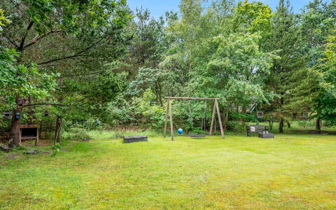Arttu - 2.4Km from the Sea: Communauté Des Plantes, Lumière Du Soleil, Plante Herbacée, Jardin, Plantation, Agriculture, Ferme