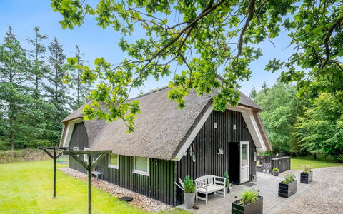 Arttu - 2.4Km from the Sea: Communauté Des Plantes, Lumière Du Soleil, Plante Herbacée, Jardin, Plantation, Agriculture, Ferme