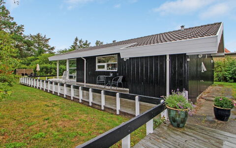 Fasti - 300M from the Sea: Communauté Des Plantes, Lumière Du Soleil, Plante Herbacée, Jardin, Plantation, Agriculture, Ferme