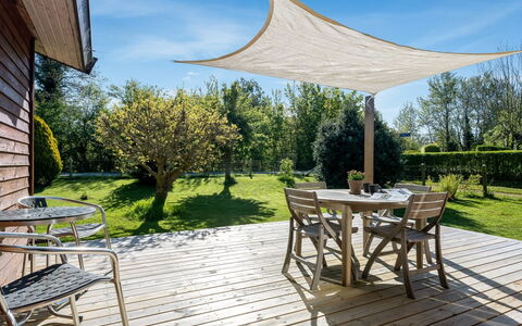 Alvia - 200M from the Sea: Communauté Des Plantes, Lumière Du Soleil, Plante Herbacée, Jardin, Plantation, Agriculture, Ferme