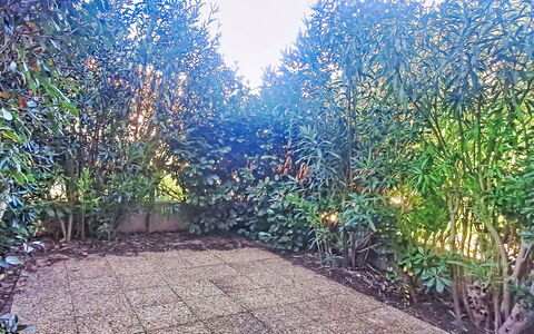 Six Fours 100: Suppression Des Plantes Ligneuses, Jardin