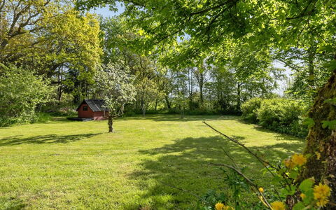 Iiro - 2.5Km from the Sea: Herbe, Arbre, Feuille, Vert, La Nature, Environnement Naturel, Branche, Végétation, Paysage Naturel, Prairie