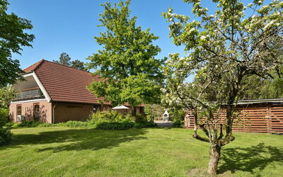 Iiro - 2.5Km from the Sea