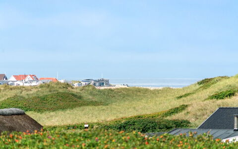 Stener - 250M from the Sea: Paysage, Toit, Lot Terre, Plaine, Champ, Prairie, Banlieue, Côte, Steppe, Ferme