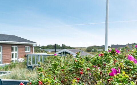 Stener - 250M from the Sea: Maison, Domicile, Toit, Chalet, Lot Terre, Biens, Ferme, Village, Ferme