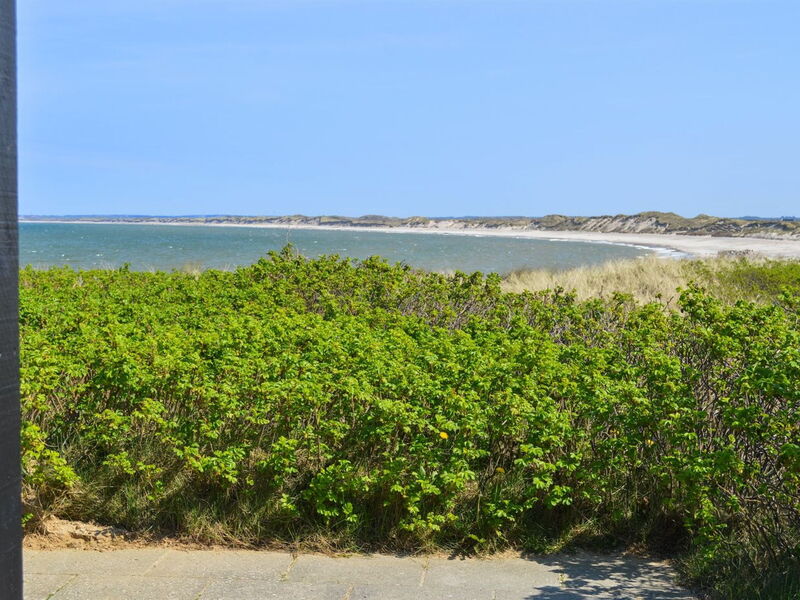 Legolas - 50M from the Sea
